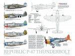 P-47 Thunderbolt Data Poster