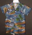Aloha Hawaiian Shirt & Shorts Set 1261.175 Navy