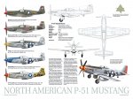 P-51 Mustang Data Poster